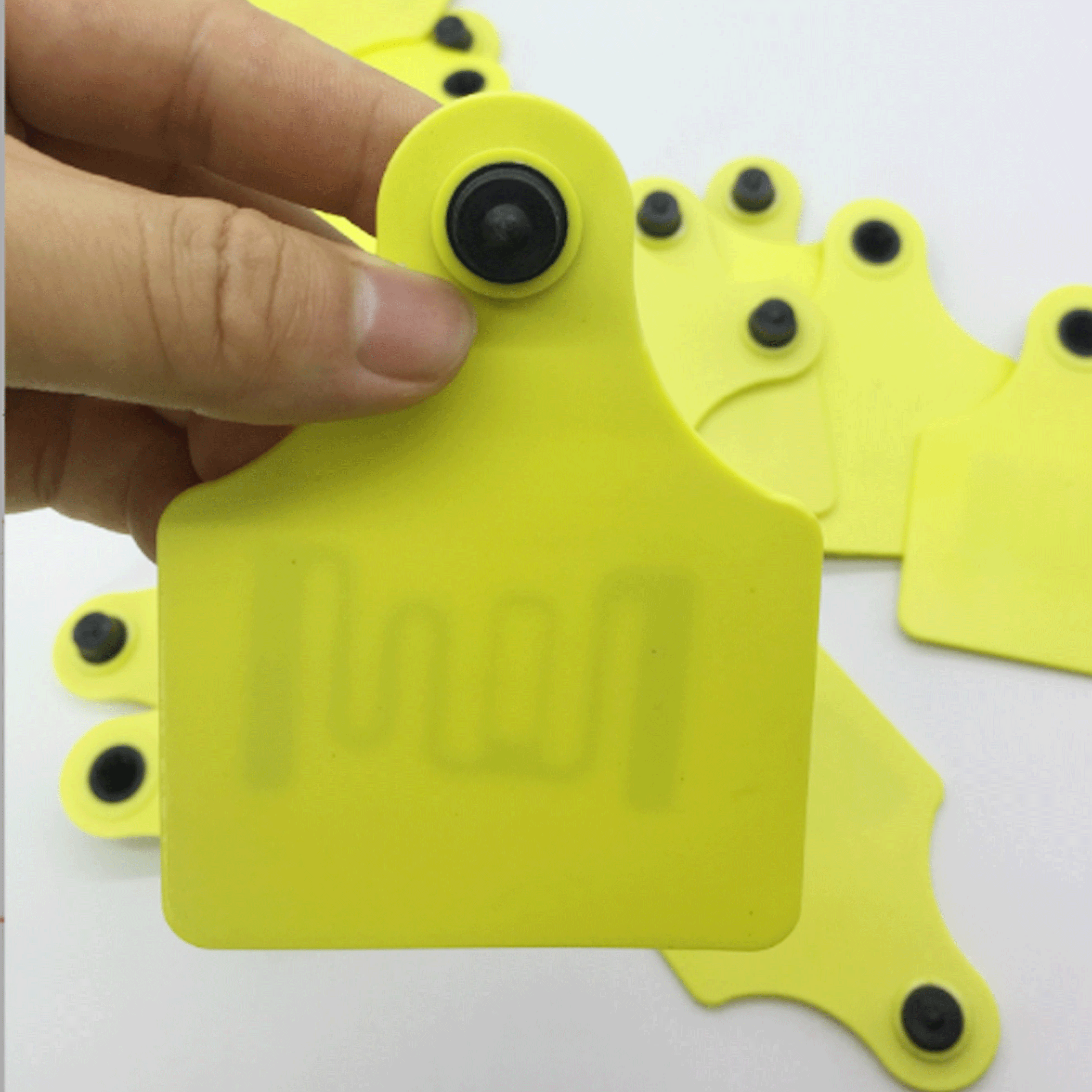 860-960Mhz UHF RFID Animal Ear Tags Cattle Ear Tag